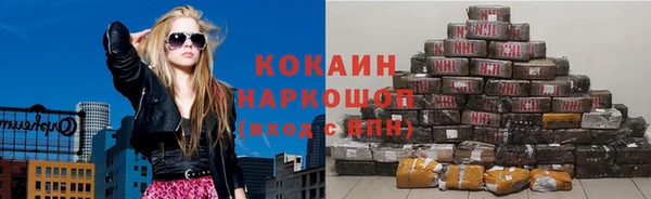 стаф Богородск