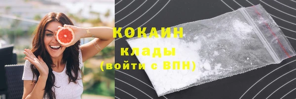 прущий лед Богородицк