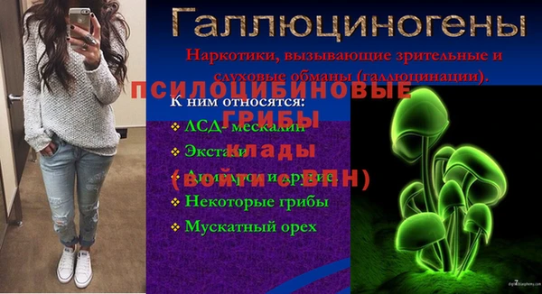 ECSTASY Белоозёрский