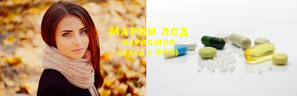 стаф Богородск