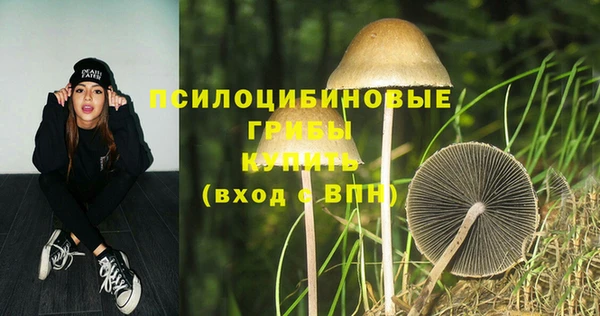 ГАЛЛЮЦИНОГЕННЫЕ ГРИБЫ Беломорск