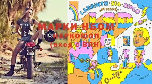 стаф Богородск