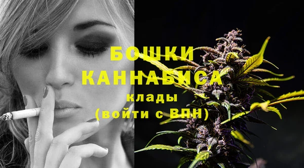 стаф Богородск