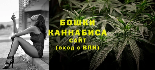 прущий лед Богородицк