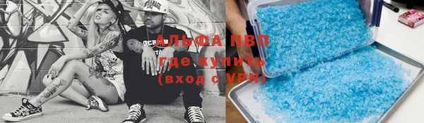стаф Богородск