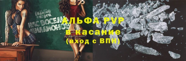 ешки Богданович